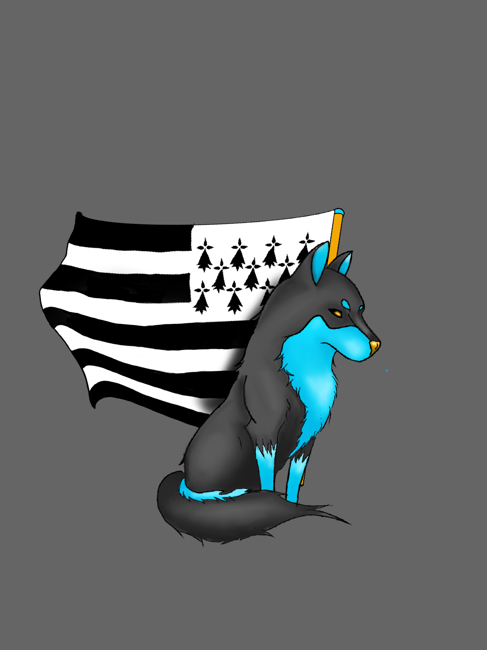 Tee Drapeau — Artic