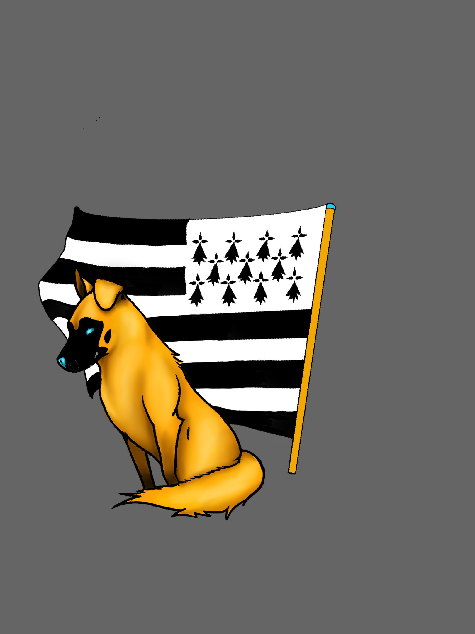 Tee Drapeau — Baloo