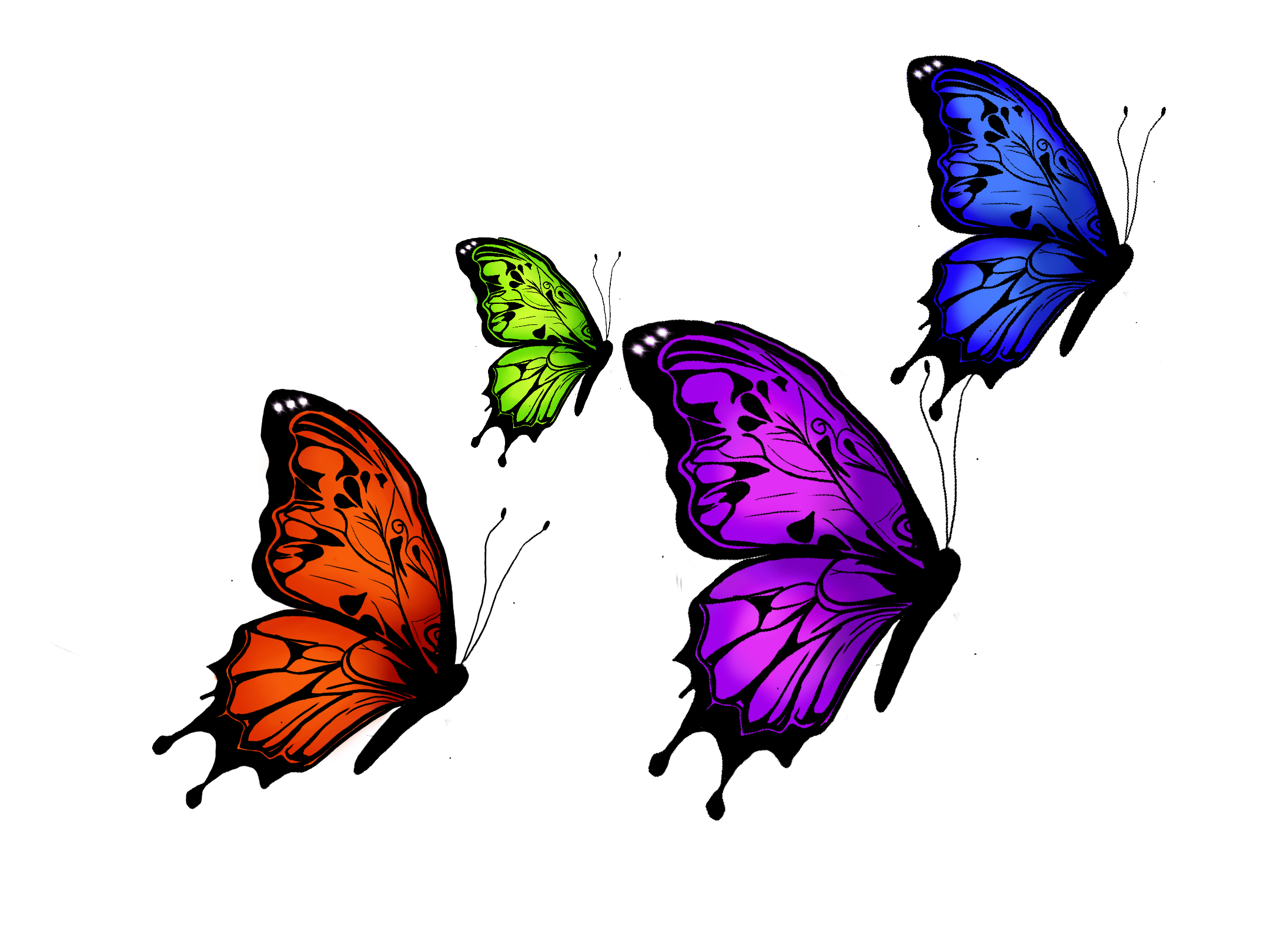Tee Fragment — 4 papillons