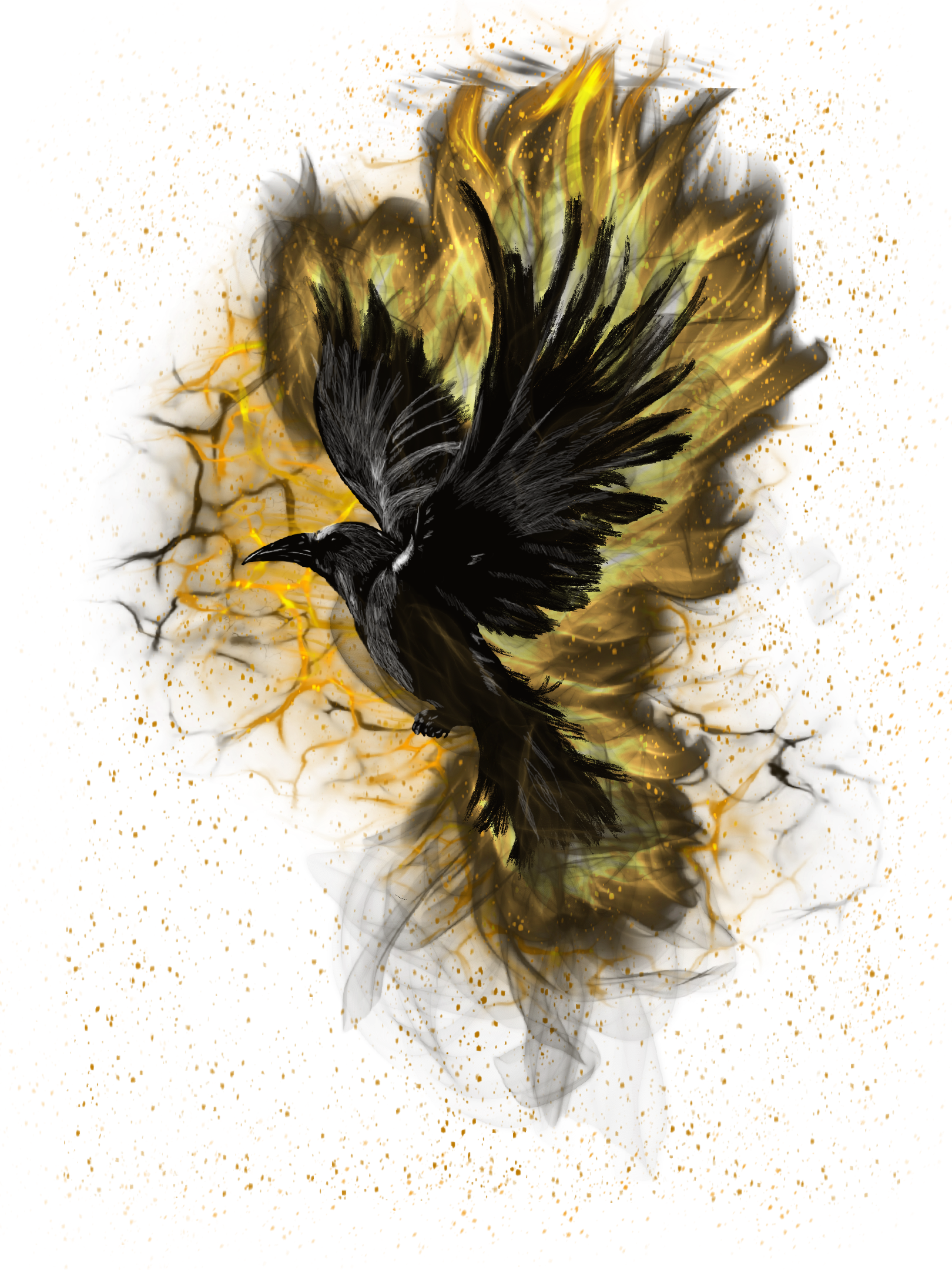 Tee Instinct — Corbeau